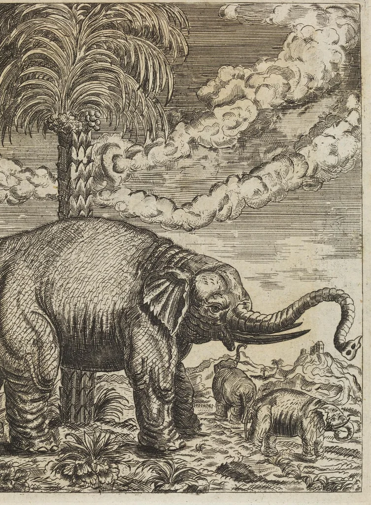 An illustration from D. Georg. Christoph. Petri ab Hartenfelß/ Consiliarii Et Archiatri Moguntini &c. &c. Elephantographia Curiosa: Cui Accessit Ejusdem Auctoris Oratio Panegyrica De Elephantis, Publice In Actu Doctorali Erfordiæ Habita; Nec Non Justi Lipsii Epistola De Eodem Argumento Erudite Conscripta: In Fine Adjectus Est Index Rerum Notabilium Locupletissimus, leaf 47