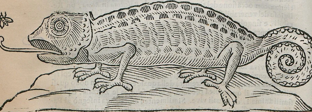An illustration from Prodomo Apologetico alli Studi Chircheriani: Opera di Gioseffo Petrucci ..., Nella quale con un'apparato di Saggi diversi, si dà prova dell'esquisito Studio ha tenuto ... Atanasio Chircher, Circa il credere all'opinioni degli Scrittori ..., 1677, leaf 101