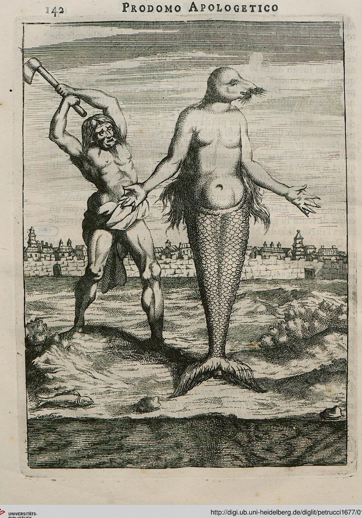 An illustration from Prodomo Apologetico alli Studi Chircheriani: Opera di Gioseffo Petrucci ..., Nella quale con un'apparato di Saggi diversi, si dà prova dell'esquisito Studio ha tenuto ... Atanasio Chircher, Circa il credere all'opinioni degli Scrittori ..., 1677, leaf 165