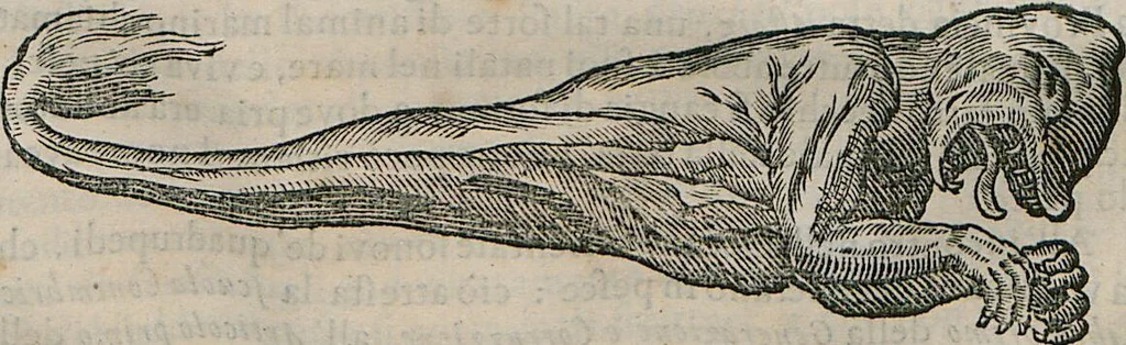 An illustration from Prodomo Apologetico alli Studi Chircheriani: Opera di Gioseffo Petrucci ..., Nella quale con un'apparato di Saggi diversi, si dà prova dell'esquisito Studio ha tenuto ... Atanasio Chircher, Circa il credere all'opinioni degli Scrittori ..., 1677, leaf 166