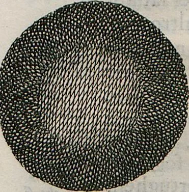 An illustration from Prodomo Apologetico alli Studi Chircheriani: Opera di Gioseffo Petrucci ..., Nella quale con un'apparato di Saggi diversi, si dà prova dell'esquisito Studio ha tenuto ... Atanasio Chircher, Circa il credere all'opinioni degli Scrittori ..., 1677, leaf 26