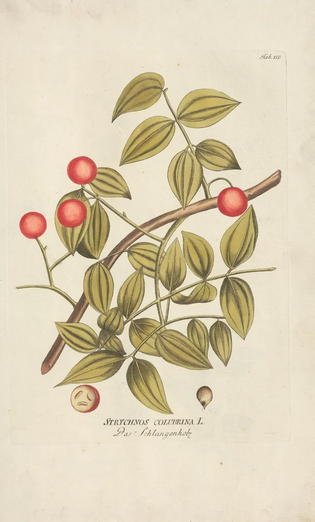 An illustration from (Centuria II.), 1789, leaf 123