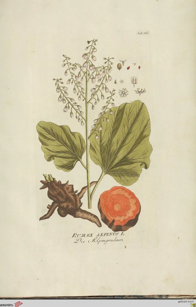 An illustration from (Centuria III.), 1790, leaf 259