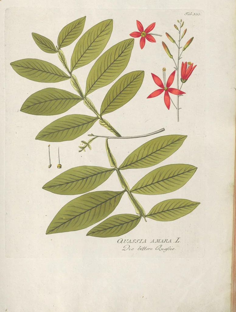 An illustration from (Centuria IV.), 1791, leaf 169