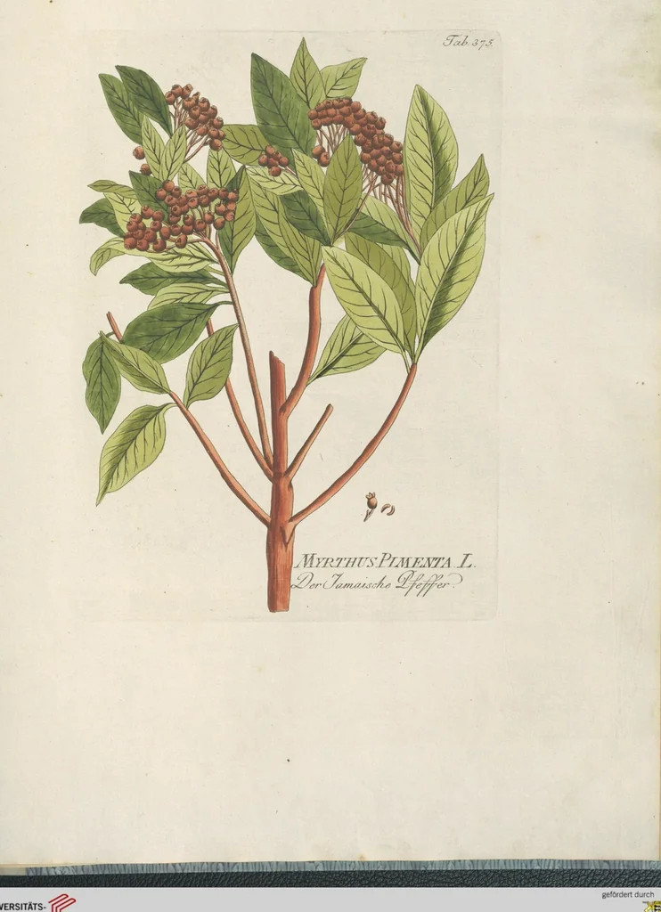 An illustration from (Centuria IV.), 1791, leaf 255
