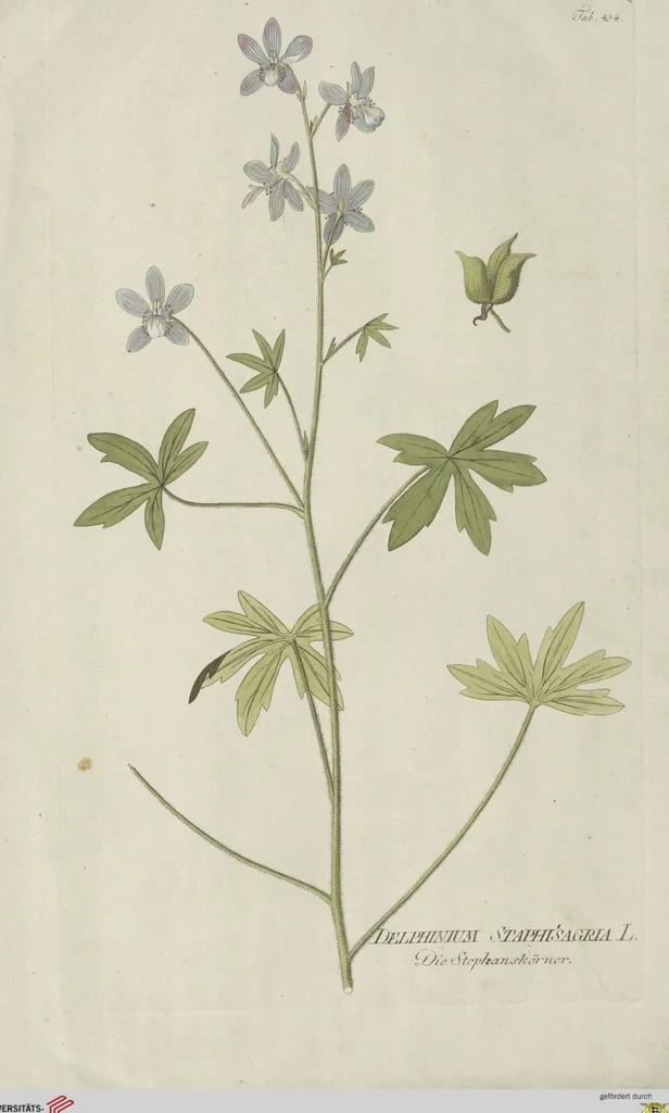 An illustration from (Centuria V.), 1792, leaf 128