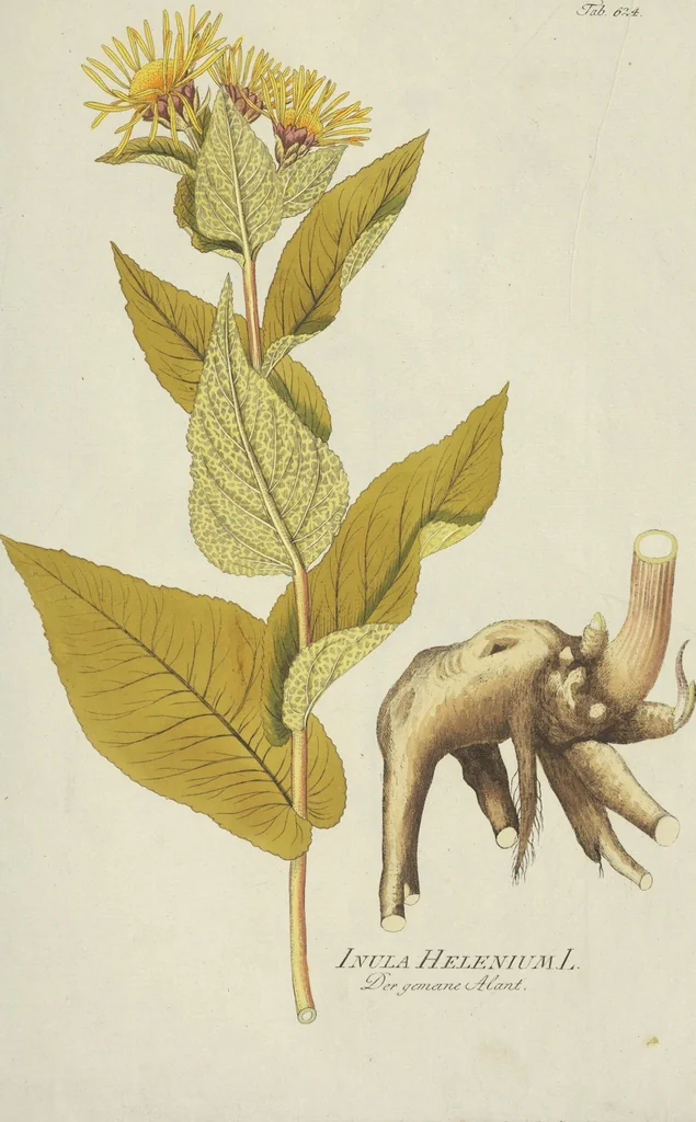 An illustration from (Centuria VII.), 1803, leaf 117