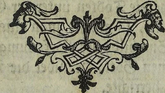 An illustration from (Band 1), 1740, leaf 218