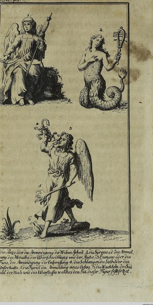An illustration from (Band 1), 1740, leaf 429