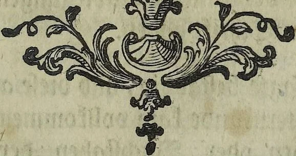 An illustration from (Band 1), 1740, leaf 494