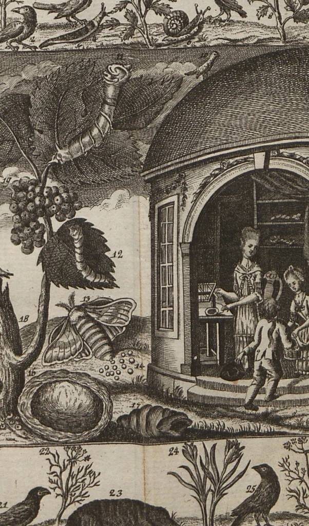 An illustration from Naturgeschichte für Kinder, 1780, leaf 732