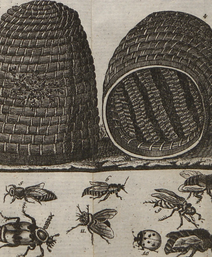 An illustration from Naturgeschichte für Kinder, 1780, leaf 733