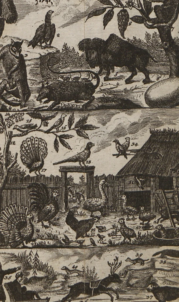 An illustration from Naturgeschichte für Kinder, 1780, leaf 738