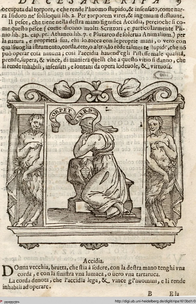 An illustration from (Band 1), 1613, leaf 20