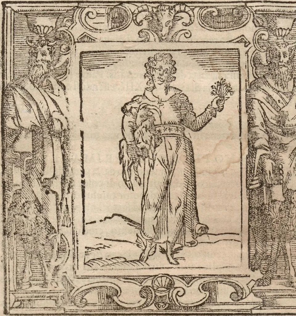 An illustration from (Band 1), 1613, leaf 223