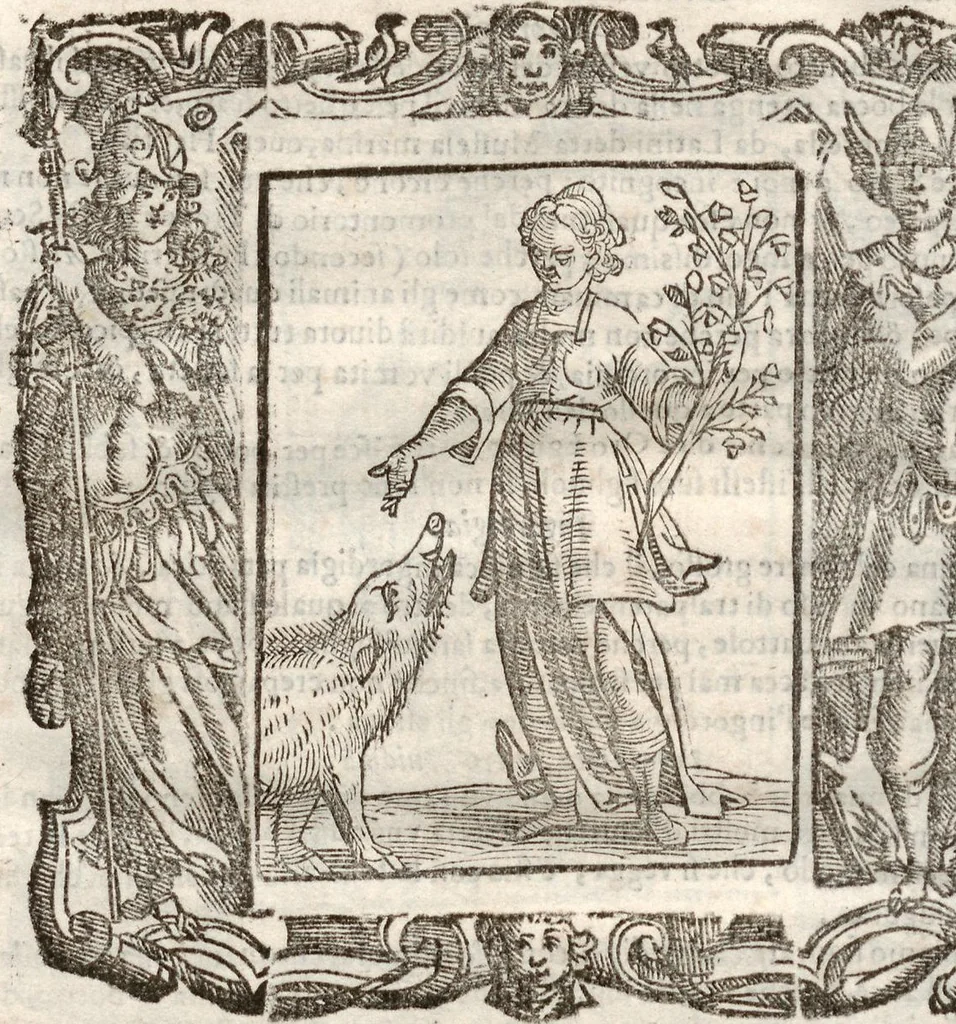 An illustration from (Band 1), 1613, leaf 351
