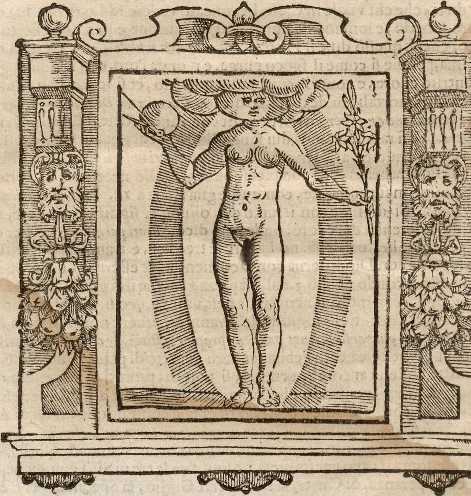 An illustration from (Band 1), 1613, leaf 79