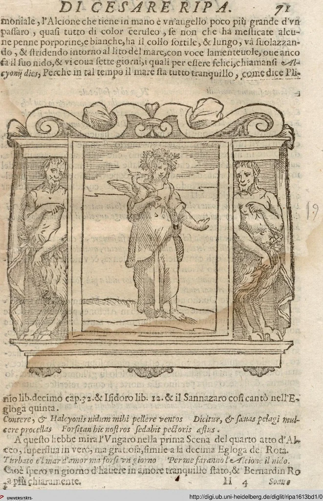 An illustration from (Band 1), 1613, leaf 82