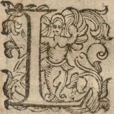 An illustration from (Band 1), 1613, leaf 86