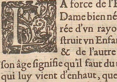 An illustration from (Band 2), 1643, leaf 129