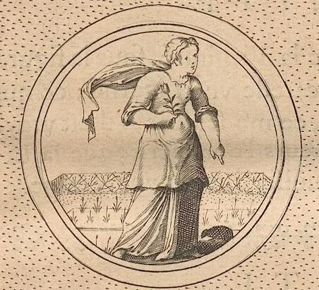 An illustration from (Band 2), 1643, leaf 155