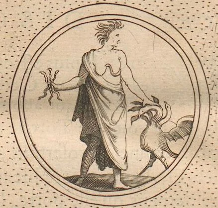 An illustration from (Band 2), 1643, leaf 161