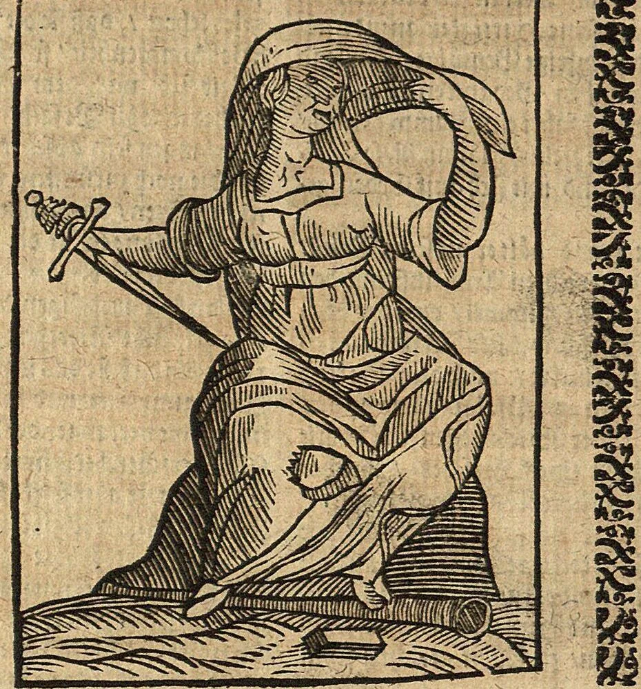 An illustration from (Band 2), 1670, leaf 116