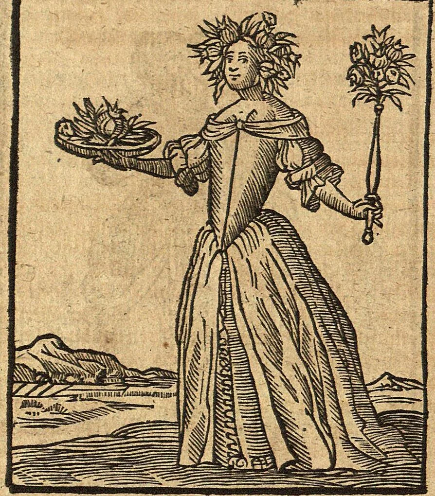 An illustration from (Band 2), 1670, leaf 14