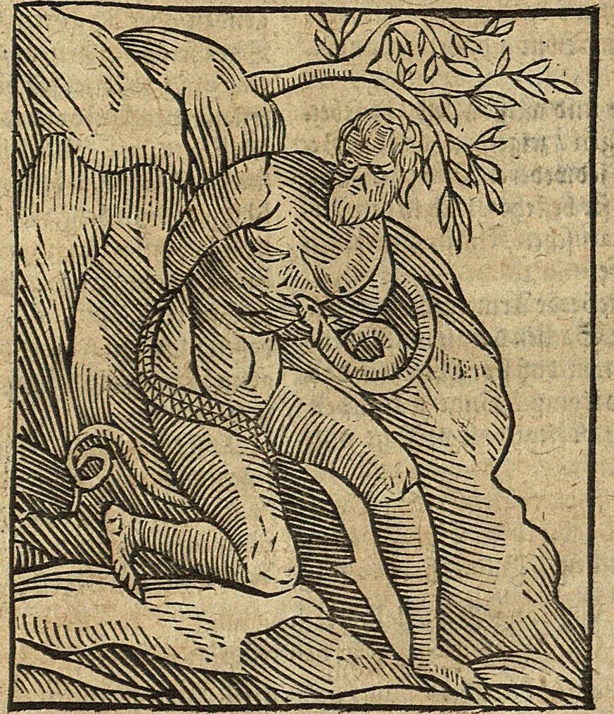 An illustration from (Band 2), 1670, leaf 156