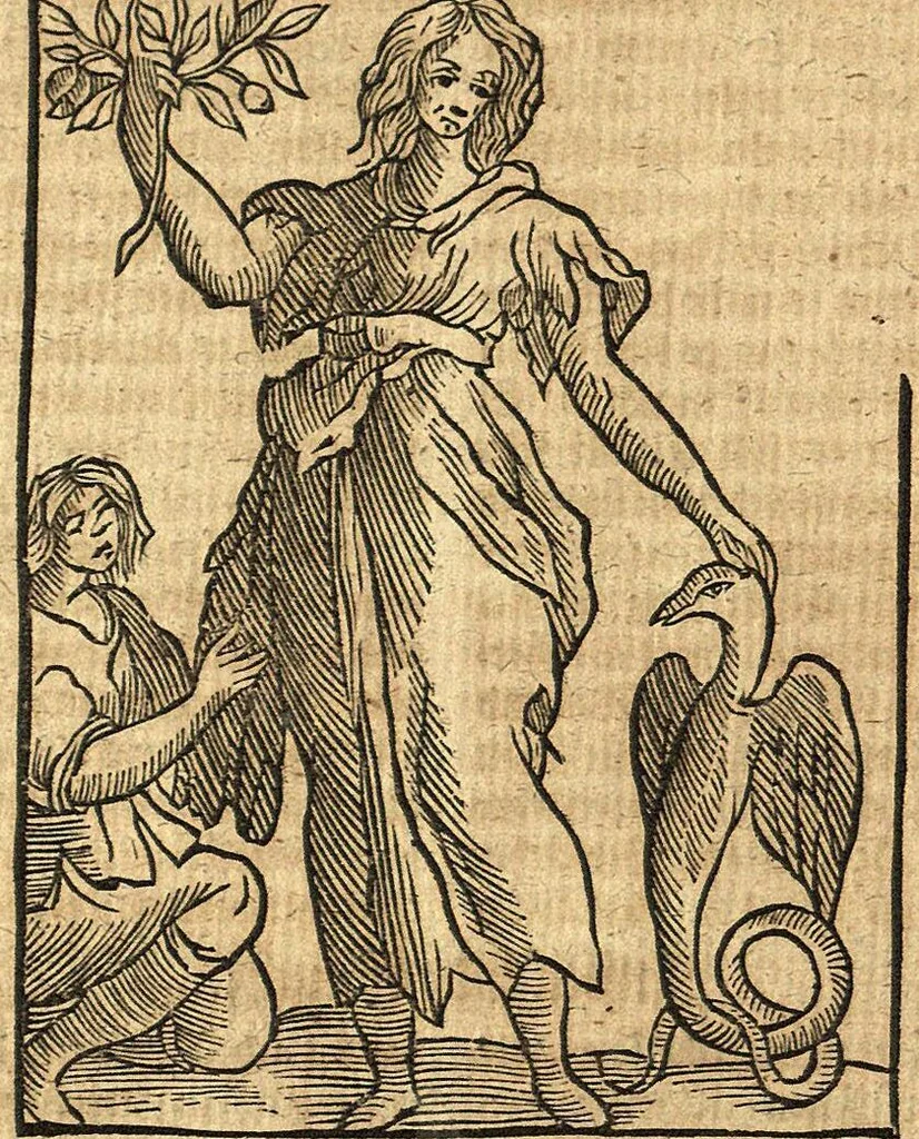 An illustration from (Band 2), 1670, leaf 38