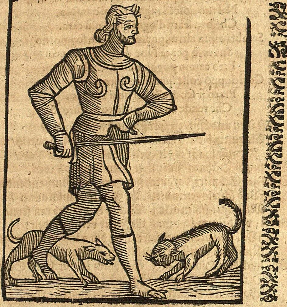 An illustration from (Band 2), 1670, leaf 47