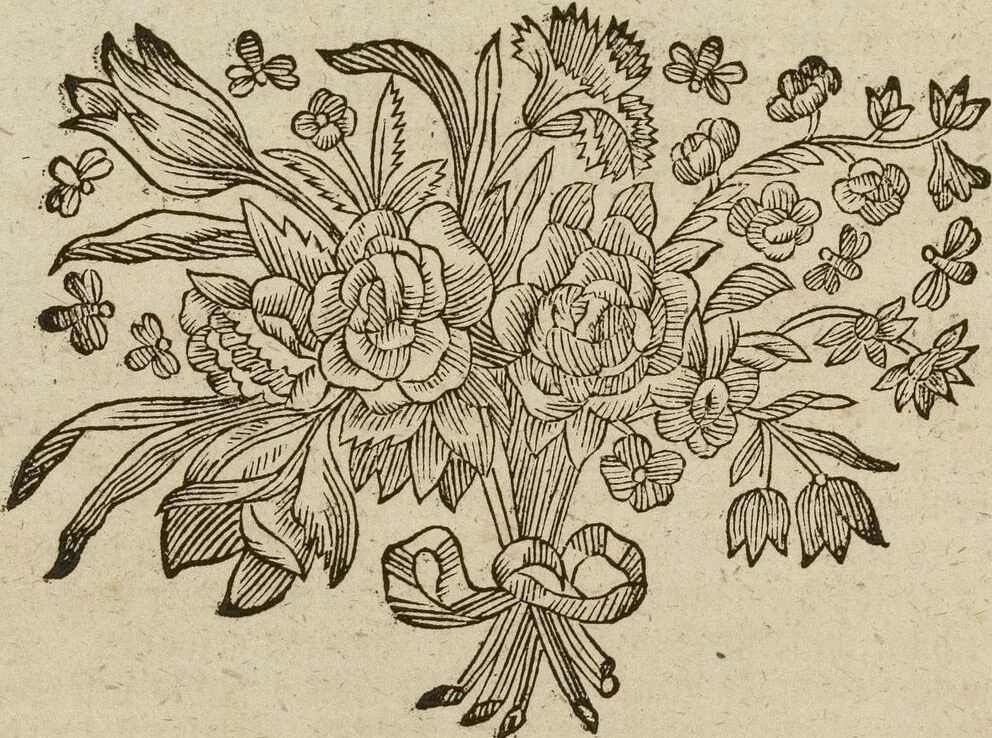 An illustration from (Band 1): ... in welchem die in sechs Classen eingetheilte Papilionen mit ihrem Ursprung, Verwandlung und allen wunderbaren Eigenschafften, aus eigener Erfahrung beschrieben und in sauber illuminirten Kupfern, nach dem Leben abgebildet, vorgestellet werden von August Johann Rösel, Miniatur-Mahlern: Nebst einer Vorrede, in welcher von dem Nutzen derer Insecten gehandelt, was sie seyen gezeiget, und von der Eintheilung dererselben Nachricht gegeben wird, 1746, leaf 258