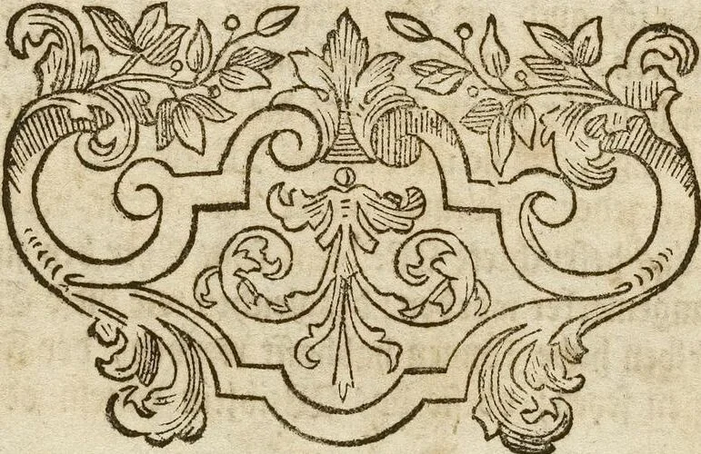 An illustration from (Band 1): ... in welchem die in sechs Classen eingetheilte Papilionen mit ihrem Ursprung, Verwandlung und allen wunderbaren Eigenschafften, aus eigener Erfahrung beschrieben und in sauber illuminirten Kupfern, nach dem Leben abgebildet, vorgestellet werden von August Johann Rösel, Miniatur-Mahlern: Nebst einer Vorrede, in welcher von dem Nutzen derer Insecten gehandelt, was sie seyen gezeiget, und von der Eintheilung dererselben Nachricht gegeben wird, 1746, leaf 283