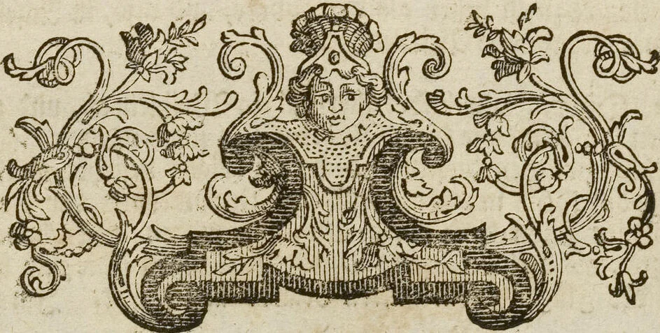 An illustration from (Band 1): ... in welchem die in sechs Classen eingetheilte Papilionen mit ihrem Ursprung, Verwandlung und allen wunderbaren Eigenschafften, aus eigener Erfahrung beschrieben und in sauber illuminirten Kupfern, nach dem Leben abgebildet, vorgestellet werden von August Johann Rösel, Miniatur-Mahlern: Nebst einer Vorrede, in welcher von dem Nutzen derer Insecten gehandelt, was sie seyen gezeiget, und von der Eintheilung dererselben Nachricht gegeben wird, 1746, leaf 301
