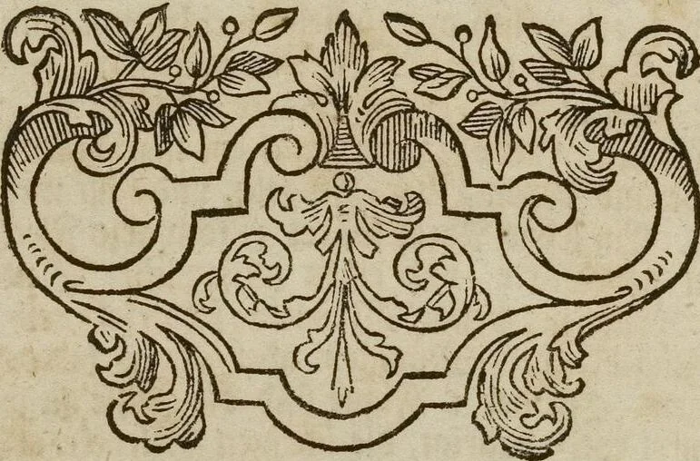 An illustration from (Band 1): ... in welchem die in sechs Classen eingetheilte Papilionen mit ihrem Ursprung, Verwandlung und allen wunderbaren Eigenschafften, aus eigener Erfahrung beschrieben und in sauber illuminirten Kupfern, nach dem Leben abgebildet, vorgestellet werden von August Johann Rösel, Miniatur-Mahlern: Nebst einer Vorrede, in welcher von dem Nutzen derer Insecten gehandelt, was sie seyen gezeiget, und von der Eintheilung dererselben Nachricht gegeben wird, 1746, leaf 364