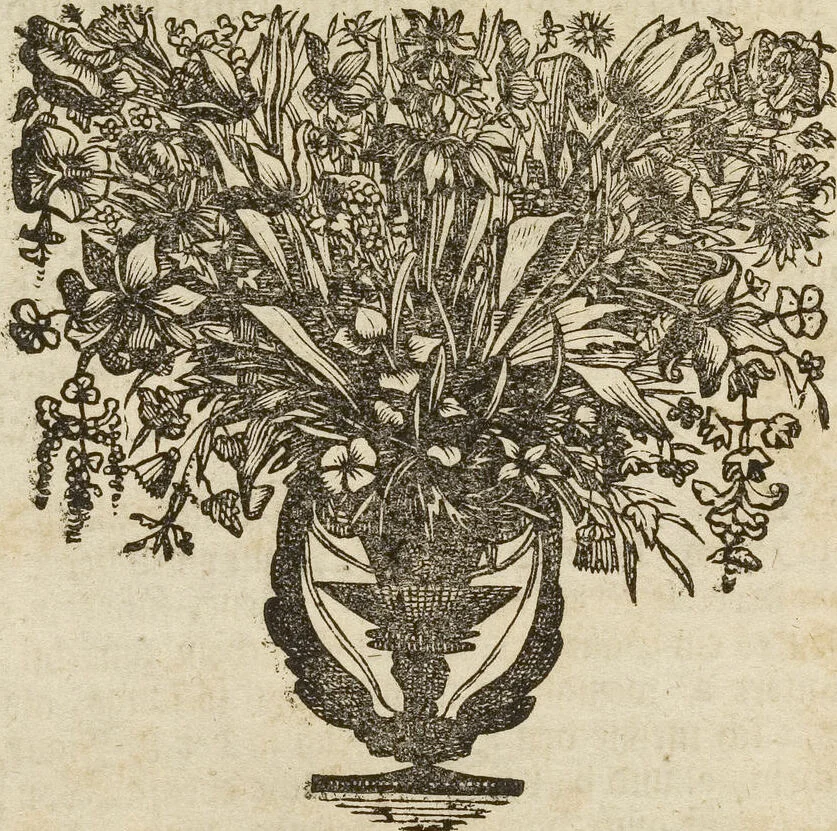 An illustration from (Band 1): ... in welchem die in sechs Classen eingetheilte Papilionen mit ihrem Ursprung, Verwandlung und allen wunderbaren Eigenschafften, aus eigener Erfahrung beschrieben und in sauber illuminirten Kupfern, nach dem Leben abgebildet, vorgestellet werden von August Johann Rösel, Miniatur-Mahlern: Nebst einer Vorrede, in welcher von dem Nutzen derer Insecten gehandelt, was sie seyen gezeiget, und von der Eintheilung dererselben Nachricht gegeben wird, 1746, leaf 373