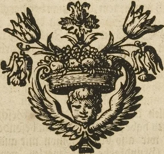 An illustration from (Band 1): ... in welchem die in sechs Classen eingetheilte Papilionen mit ihrem Ursprung, Verwandlung und allen wunderbaren Eigenschafften, aus eigener Erfahrung beschrieben und in sauber illuminirten Kupfern, nach dem Leben abgebildet, vorgestellet werden von August Johann Rösel, Miniatur-Mahlern: Nebst einer Vorrede, in welcher von dem Nutzen derer Insecten gehandelt, was sie seyen gezeiget, und von der Eintheilung dererselben Nachricht gegeben wird, 1746, leaf 463