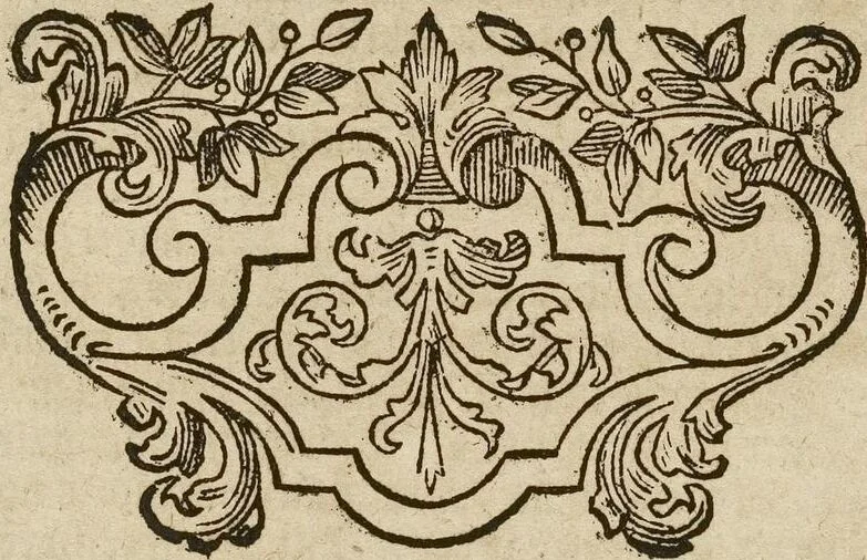 An illustration from (Band 1): ... in welchem die in sechs Classen eingetheilte Papilionen mit ihrem Ursprung, Verwandlung und allen wunderbaren Eigenschafften, aus eigener Erfahrung beschrieben und in sauber illuminirten Kupfern, nach dem Leben abgebildet, vorgestellet werden von August Johann Rösel, Miniatur-Mahlern: Nebst einer Vorrede, in welcher von dem Nutzen derer Insecten gehandelt, was sie seyen gezeiget, und von der Eintheilung dererselben Nachricht gegeben wird, 1746, leaf 488