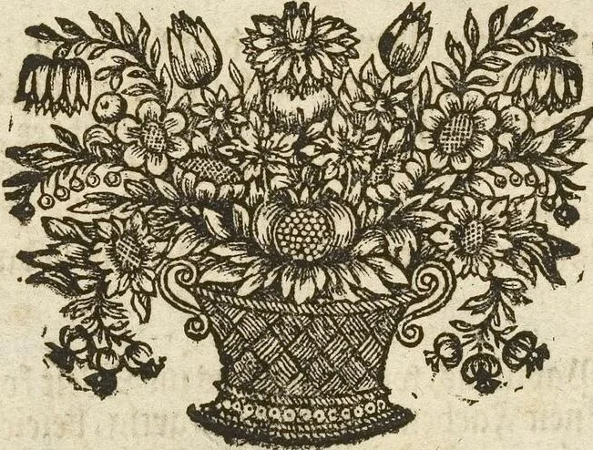 An illustration from (Band 1): ... in welchem die in sechs Classen eingetheilte Papilionen mit ihrem Ursprung, Verwandlung und allen wunderbaren Eigenschafften, aus eigener Erfahrung beschrieben und in sauber illuminirten Kupfern, nach dem Leben abgebildet, vorgestellet werden von August Johann Rösel, Miniatur-Mahlern: Nebst einer Vorrede, in welcher von dem Nutzen derer Insecten gehandelt, was sie seyen gezeiget, und von der Eintheilung dererselben Nachricht gegeben wird, 1746, leaf 499