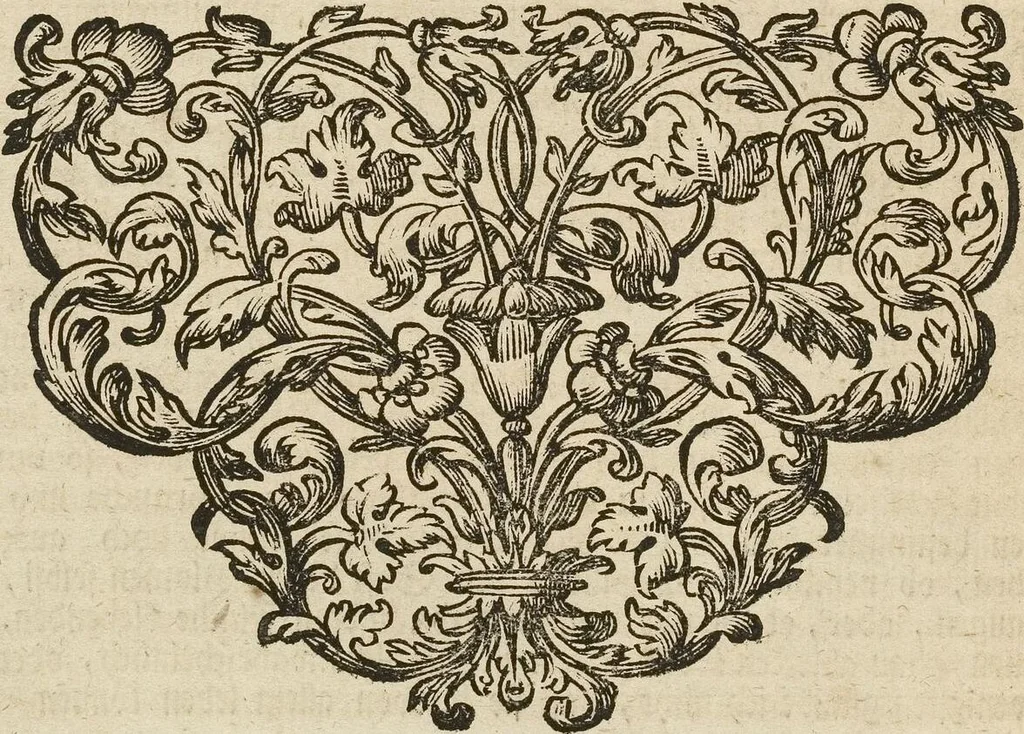 An illustration from (Band 1): ... in welchem die in sechs Classen eingetheilte Papilionen mit ihrem Ursprung, Verwandlung und allen wunderbaren Eigenschafften, aus eigener Erfahrung beschrieben und in sauber illuminirten Kupfern, nach dem Leben abgebildet, vorgestellet werden von August Johann Rösel, Miniatur-Mahlern: Nebst einer Vorrede, in welcher von dem Nutzen derer Insecten gehandelt, was sie seyen gezeiget, und von der Eintheilung dererselben Nachricht gegeben wird, 1746, leaf 508