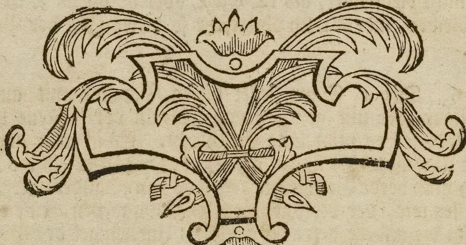 An illustration from (Band 1): ... in welchem die in sechs Classen eingetheilte Papilionen mit ihrem Ursprung, Verwandlung und allen wunderbaren Eigenschafften, aus eigener Erfahrung beschrieben und in sauber illuminirten Kupfern, nach dem Leben abgebildet, vorgestellet werden von August Johann Rösel, Miniatur-Mahlern: Nebst einer Vorrede, in welcher von dem Nutzen derer Insecten gehandelt, was sie seyen gezeiget, und von der Eintheilung dererselben Nachricht gegeben wird, 1746, leaf 562