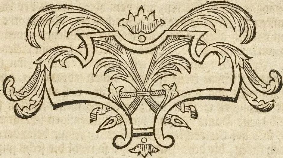 An illustration from (Band 1): ... in welchem die in sechs Classen eingetheilte Papilionen mit ihrem Ursprung, Verwandlung und allen wunderbaren Eigenschafften, aus eigener Erfahrung beschrieben und in sauber illuminirten Kupfern, nach dem Leben abgebildet, vorgestellet werden von August Johann Rösel, Miniatur-Mahlern: Nebst einer Vorrede, in welcher von dem Nutzen derer Insecten gehandelt, was sie seyen gezeiget, und von der Eintheilung dererselben Nachricht gegeben wird, 1746, leaf 566