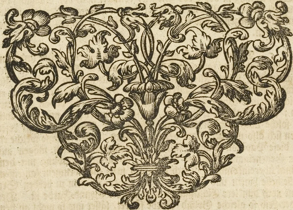 An illustration from (Band 1): ... in welchem die in sechs Classen eingetheilte Papilionen mit ihrem Ursprung, Verwandlung und allen wunderbaren Eigenschafften, aus eigener Erfahrung beschrieben und in sauber illuminirten Kupfern, nach dem Leben abgebildet, vorgestellet werden von August Johann Rösel, Miniatur-Mahlern: Nebst einer Vorrede, in welcher von dem Nutzen derer Insecten gehandelt, was sie seyen gezeiget, und von der Eintheilung dererselben Nachricht gegeben wird, 1746, leaf 607