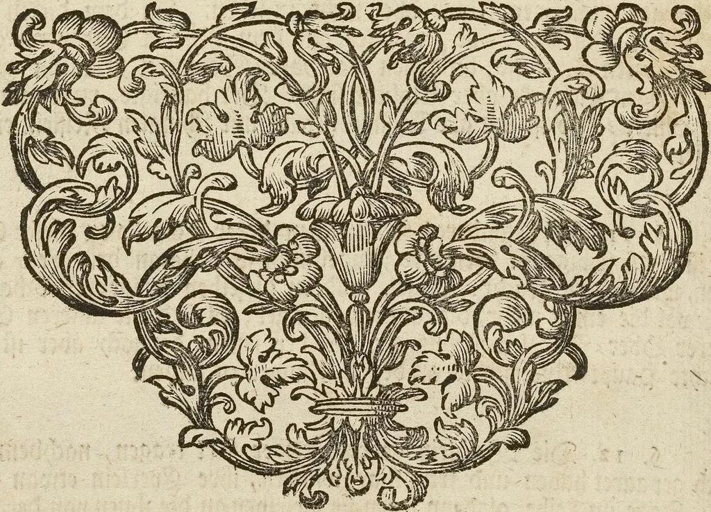 An illustration from (Band 1): ... in welchem die in sechs Classen eingetheilte Papilionen mit ihrem Ursprung, Verwandlung und allen wunderbaren Eigenschafften, aus eigener Erfahrung beschrieben und in sauber illuminirten Kupfern, nach dem Leben abgebildet, vorgestellet werden von August Johann Rösel, Miniatur-Mahlern: Nebst einer Vorrede, in welcher von dem Nutzen derer Insecten gehandelt, was sie seyen gezeiget, und von der Eintheilung dererselben Nachricht gegeben wird, 1746, leaf 651