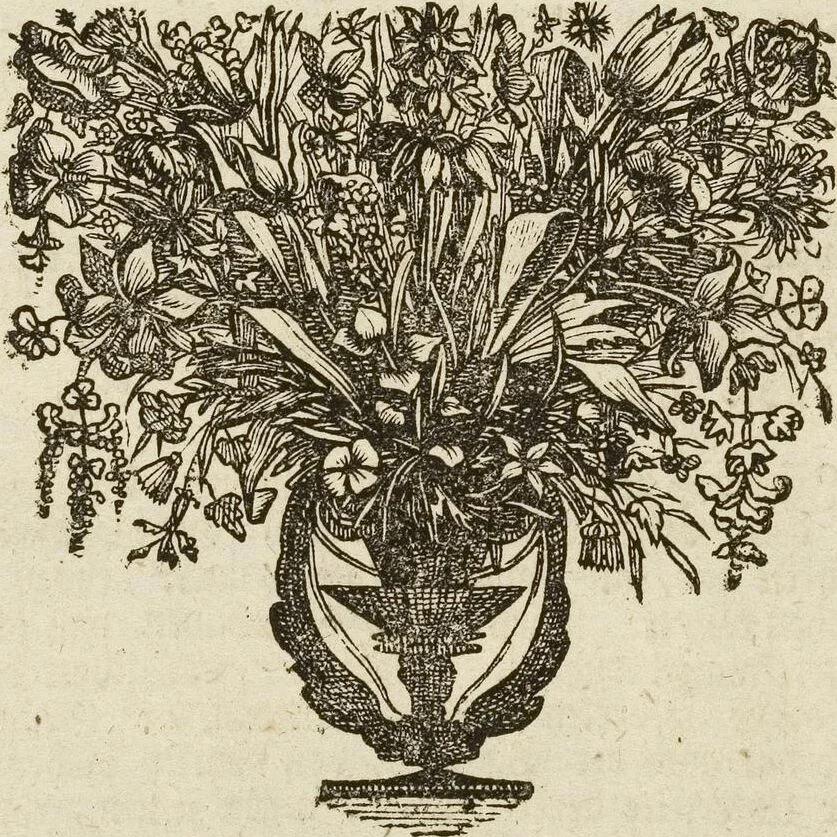 An illustration from (Band 1): ... in welchem die in sechs Classen eingetheilte Papilionen mit ihrem Ursprung, Verwandlung und allen wunderbaren Eigenschafften, aus eigener Erfahrung beschrieben und in sauber illuminirten Kupfern, nach dem Leben abgebildet, vorgestellet werden von August Johann Rösel, Miniatur-Mahlern: Nebst einer Vorrede, in welcher von dem Nutzen derer Insecten gehandelt, was sie seyen gezeiget, und von der Eintheilung dererselben Nachricht gegeben wird, 1746, leaf 77
