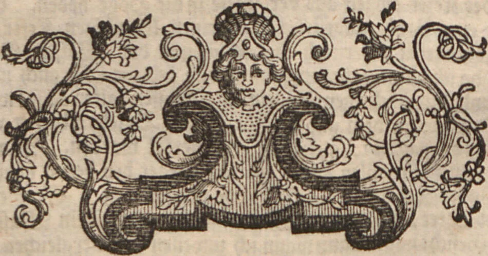 An illustration from (Band 2): ... welcher acht Classen verschiedener sowohl inländischer, als auch einiger ausländischer Insecte enthält, 1749, leaf 201