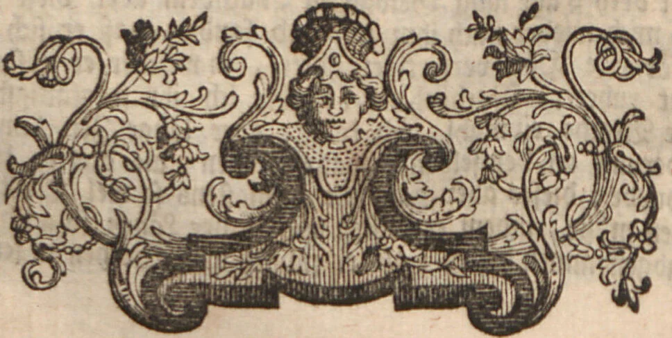 An illustration from (Band 2): ... welcher acht Classen verschiedener sowohl inländischer, als auch einiger ausländischer Insecte enthält, 1749, leaf 220