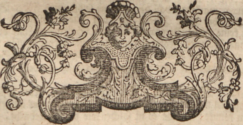 An illustration from (Band 2): ... welcher acht Classen verschiedener sowohl inländischer, als auch einiger ausländischer Insecte enthält, 1749, leaf 228