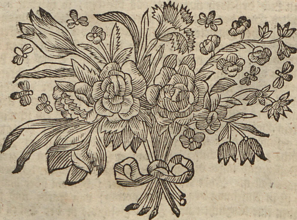 An illustration from (Band 2): ... welcher acht Classen verschiedener sowohl inländischer, als auch einiger ausländischer Insecte enthält, 1749, leaf 238
