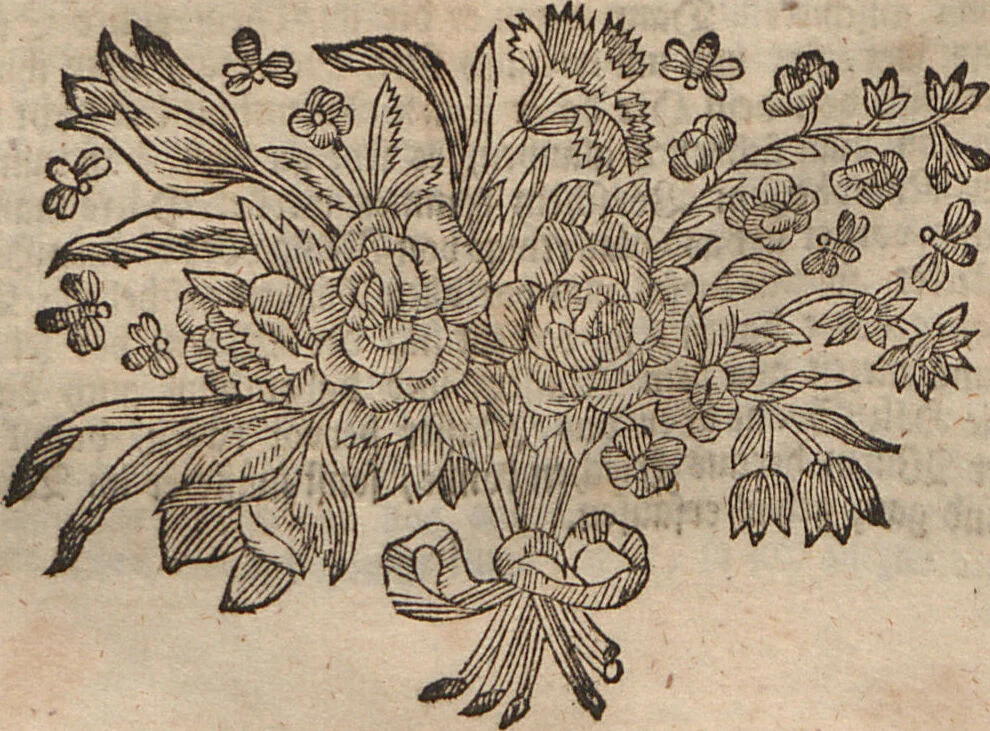 An illustration from (Band 2): ... welcher acht Classen verschiedener sowohl inländischer, als auch einiger ausländischer Insecte enthält, 1749, leaf 258